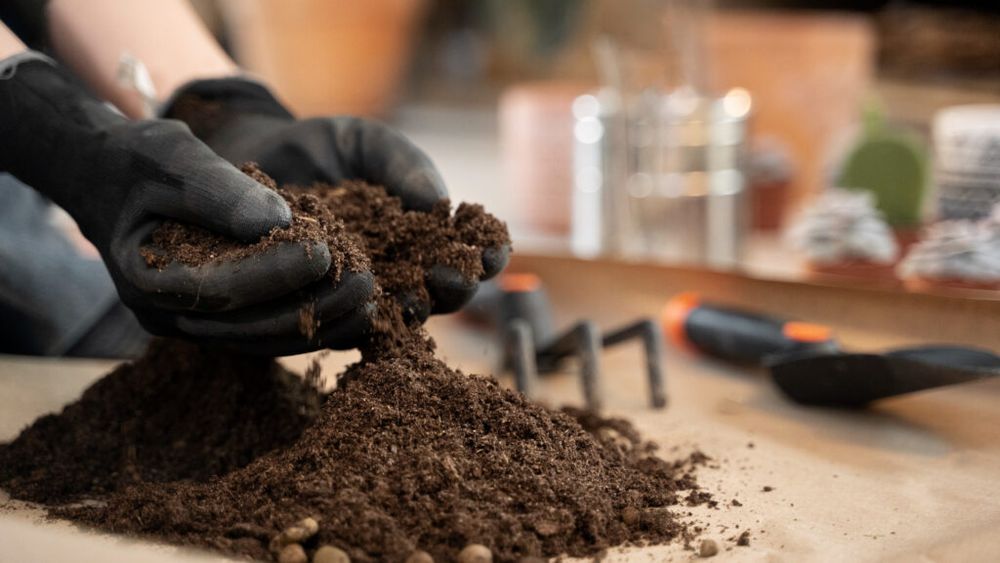 Cercetătorii australieni transformă produsele reziduale în îngrăşăminte fără emisii de carbon