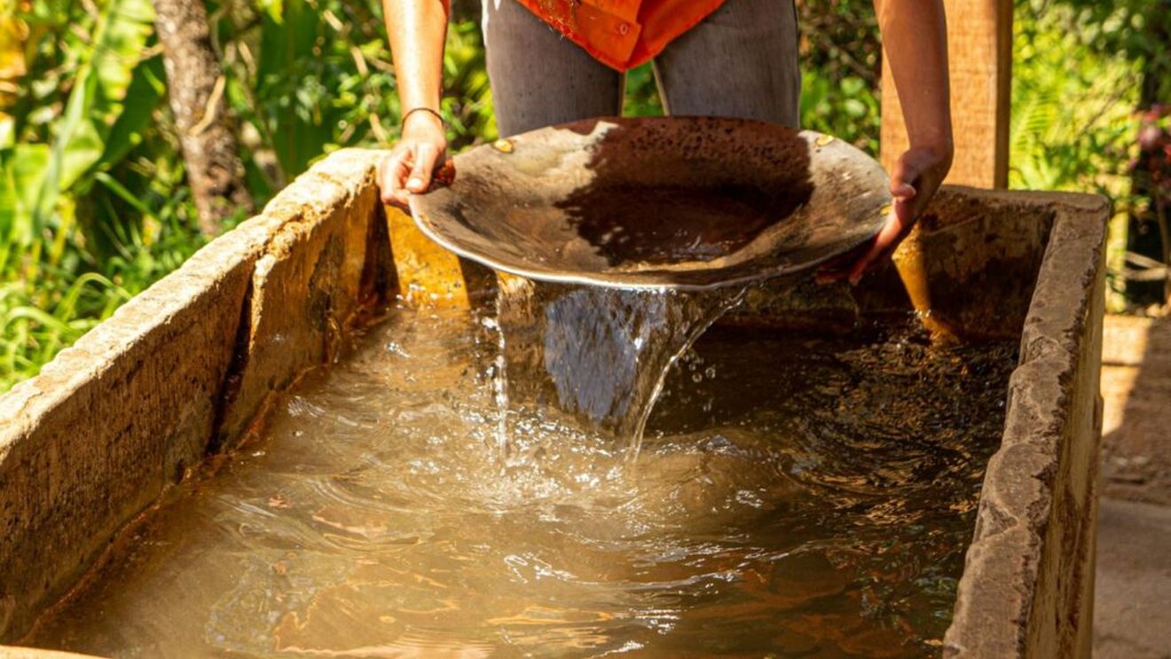 Ucraina interzice utilizarea uleiului de palmier în produsele alimentare, în special în cele pentru copii