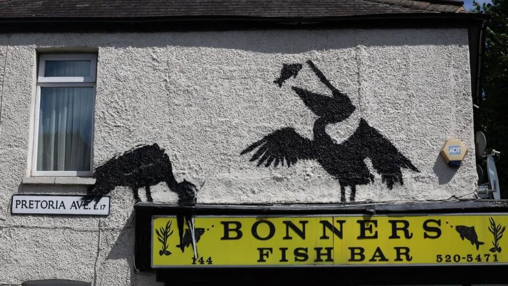 Un desen de Banksy pe un local ”fish and chips” din Londra: doi pelicani care "pescuiesc"
