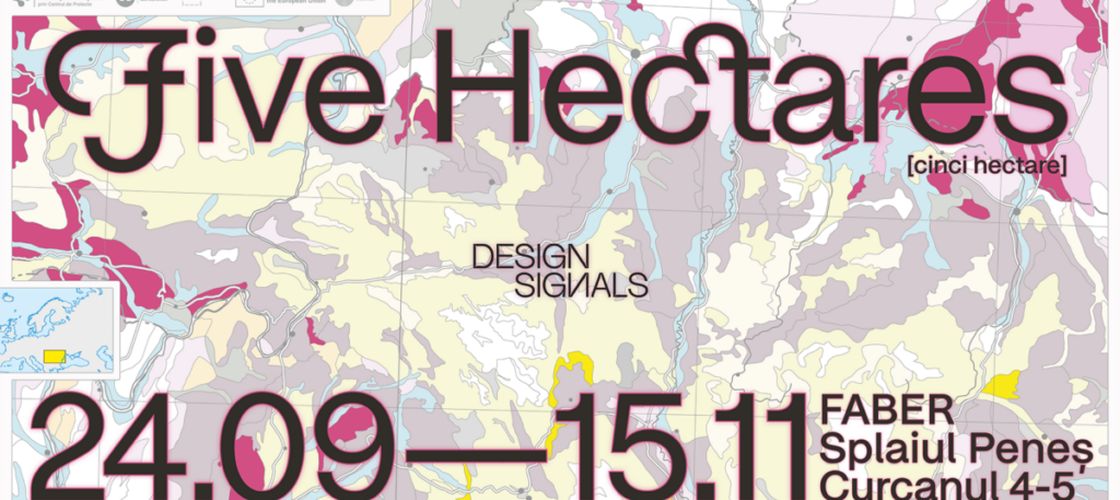 „Cinci hectare”, povestea din spatele mâncării, cum ajung alimentele de zi cu zi de la fermă pe piața globală