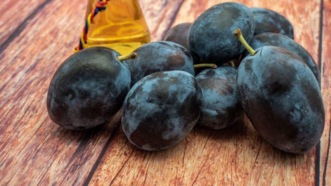 Prune din belșug și prețuri mai mici în acest an. Soiul Doina, creat la Bistrița, a câștigat locul I la Zilele Prunului”