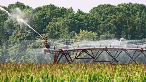 Ministrul Agriculturii îndeamnă agricultorii să acceseze fonduri europene pentru a putea reabilita infrastructura secundară de irigaţii
