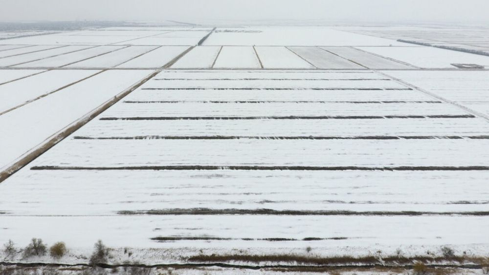 Ministrul Agriculturii, optimist în ceea ce privește sfârșitul a patru ani de secetă: „A nins exact în zonele unde am avut probleme cu deficitul de apă” / Fenomenele meteo au produs pierderi în sectorul vegetal de peste 2.5 miliarde de euro în 2024 