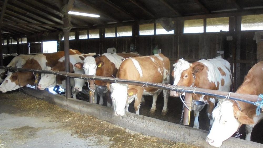 România, prin ministrul agriculturii, Adrian Oros, s-a abținut să voteze  acordul pentru poziția Consiliului AGRIFISH privind noua Politică Agricolă Comună, din cauza datei de referință pentru plata ANT în sectorul zootehnic