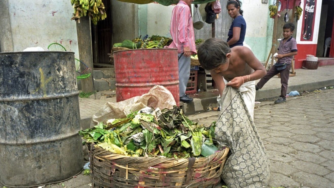 Mâine este „Ziua internațională de conștientizare a pierderilor și risipei alimentare”/Anual, numai în Europa sunt irosite 59 de milioane de tone de alimente, cu un cost de 1 miliard de euro