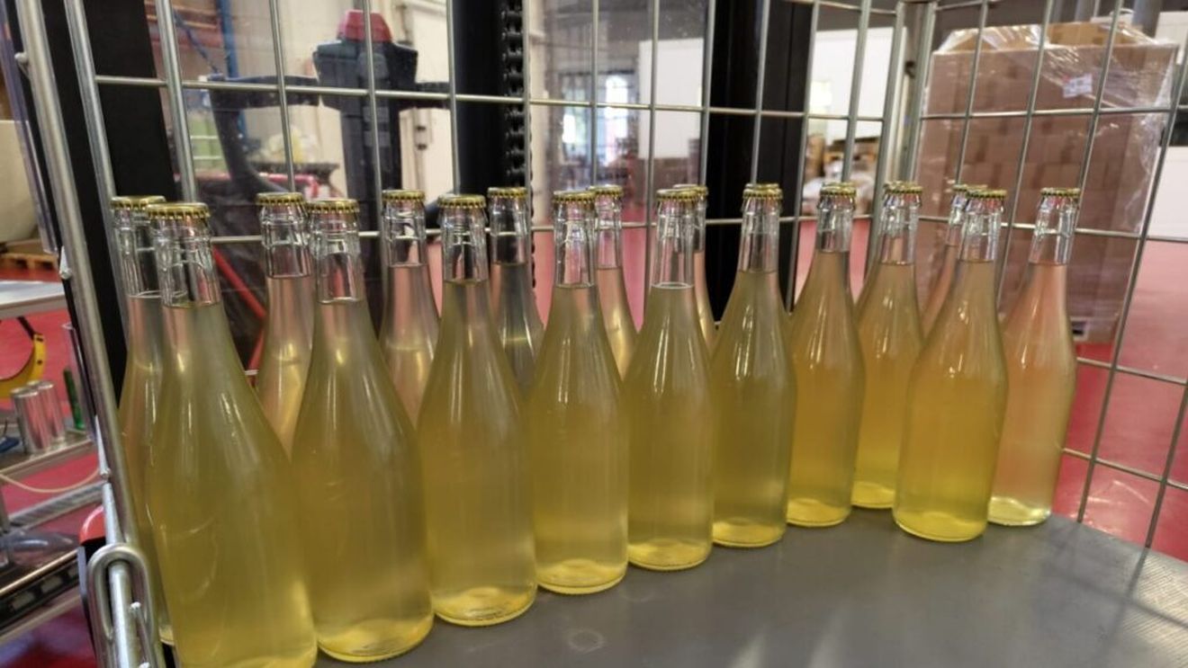 Kombwine, o posibilă alternativă la vinurile fără alcool. Un produs inovativ analcoolic obținut din must de vin fermentat cu kombucha, creat în Italia