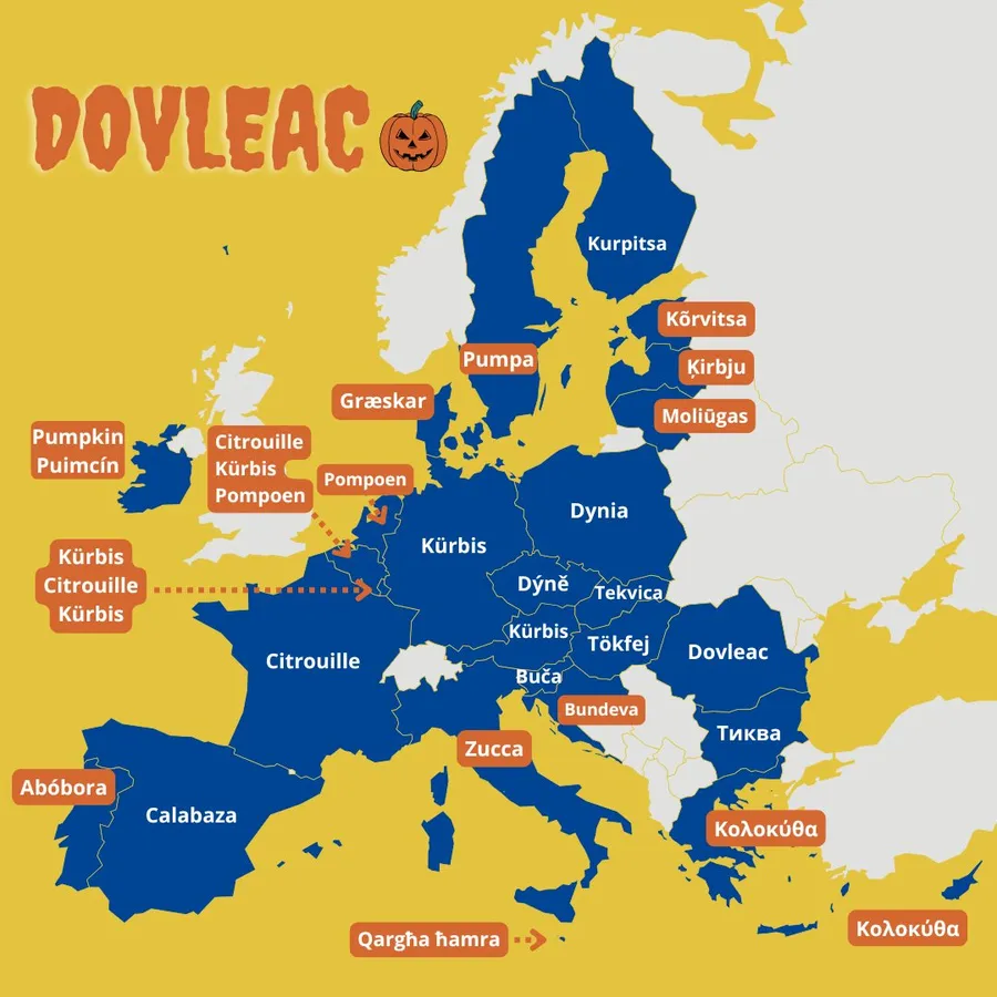 dovleac