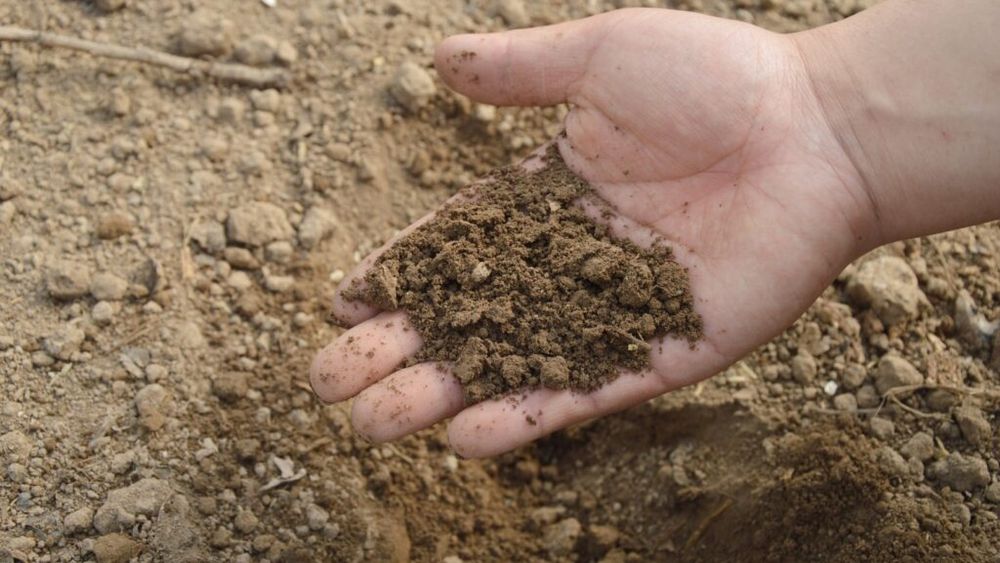 Sănătatea solului, susținută de UNESCO / Forul internațional avertizează că până la 90% din suprafața terestră a planetei ar putea fi degradată până în 2050 dacă nu se iau măsuri