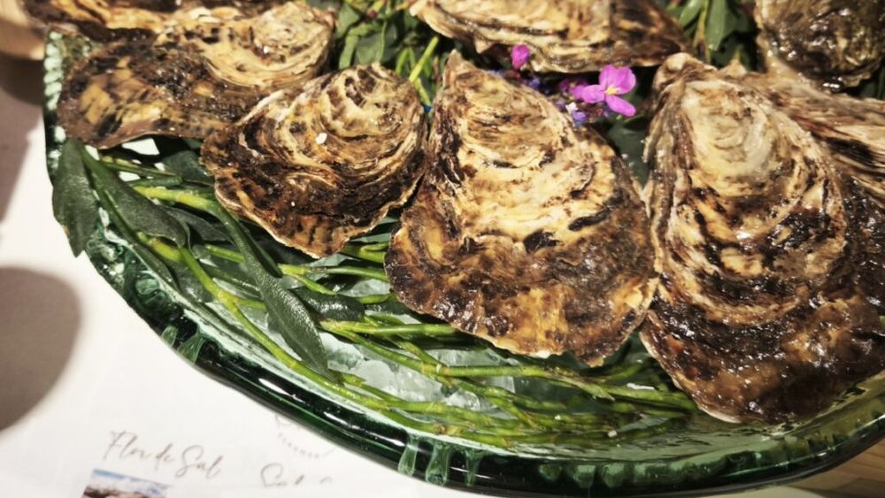 ABC în bucătărie | Cum desfaci o stridie/ E nevoie de un cuțit special și de ceva îndemânare/ Te vei bucura de o delicatesă cu gust de mare | VIDEO - FOTO