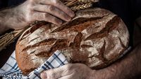 Pâinea care se făcea o dată pe an și trebuia să țină până toamna următoare. Cum era păstrată și cum își pregăteau proviziile pentru iarnă oamenii de la poalele Muntelui Rosa