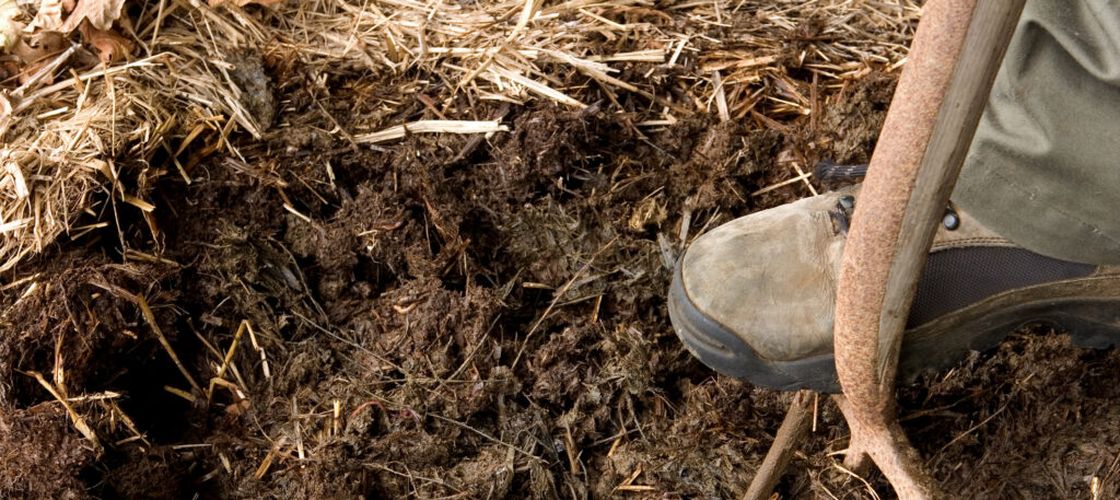 Criza îngrășămintelor se adâncește în Europa / Noua strategie a Comisiei Europene propune mai mult bălegar în agricultură, idee care stârnește critici dure