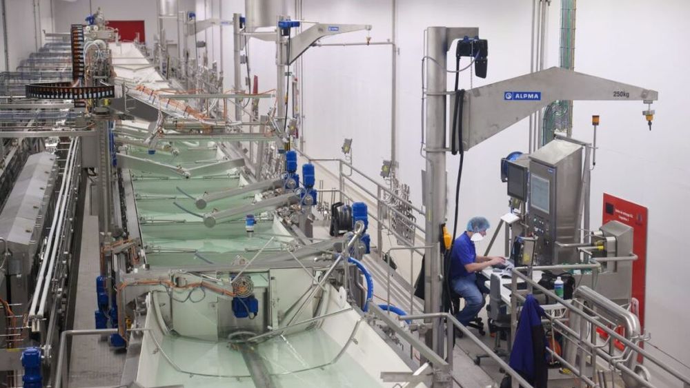 Belgia produce tot mai multă mozzarella, care a depășit în volum branza traditională gouda. Mai nou, face concurență Italiei, care a inventat-o, dar cel mai mare producător european rămâne Germania