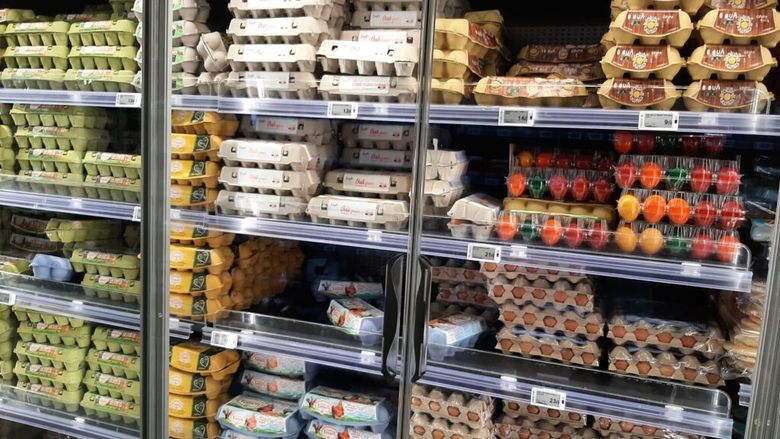 Exporturile de ouă ale României au depășit 140 de milioane de euro, pe fondul crizei aviare din UE și al investițiilor în procesare