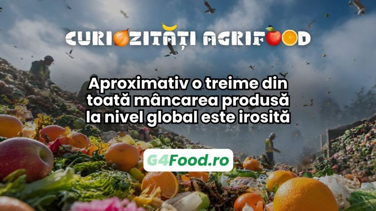 Curiozitate agri-food: Aproximativ o treime din toată mâncarea produsă la nivel global este irosită / Asta înseamnă 1,3 miliarde de tone de alimente pe an