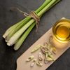 Plantele aromatice care te ajută să ții păienjenii și muștele la distanță. Trucuri pentru perioada de vară