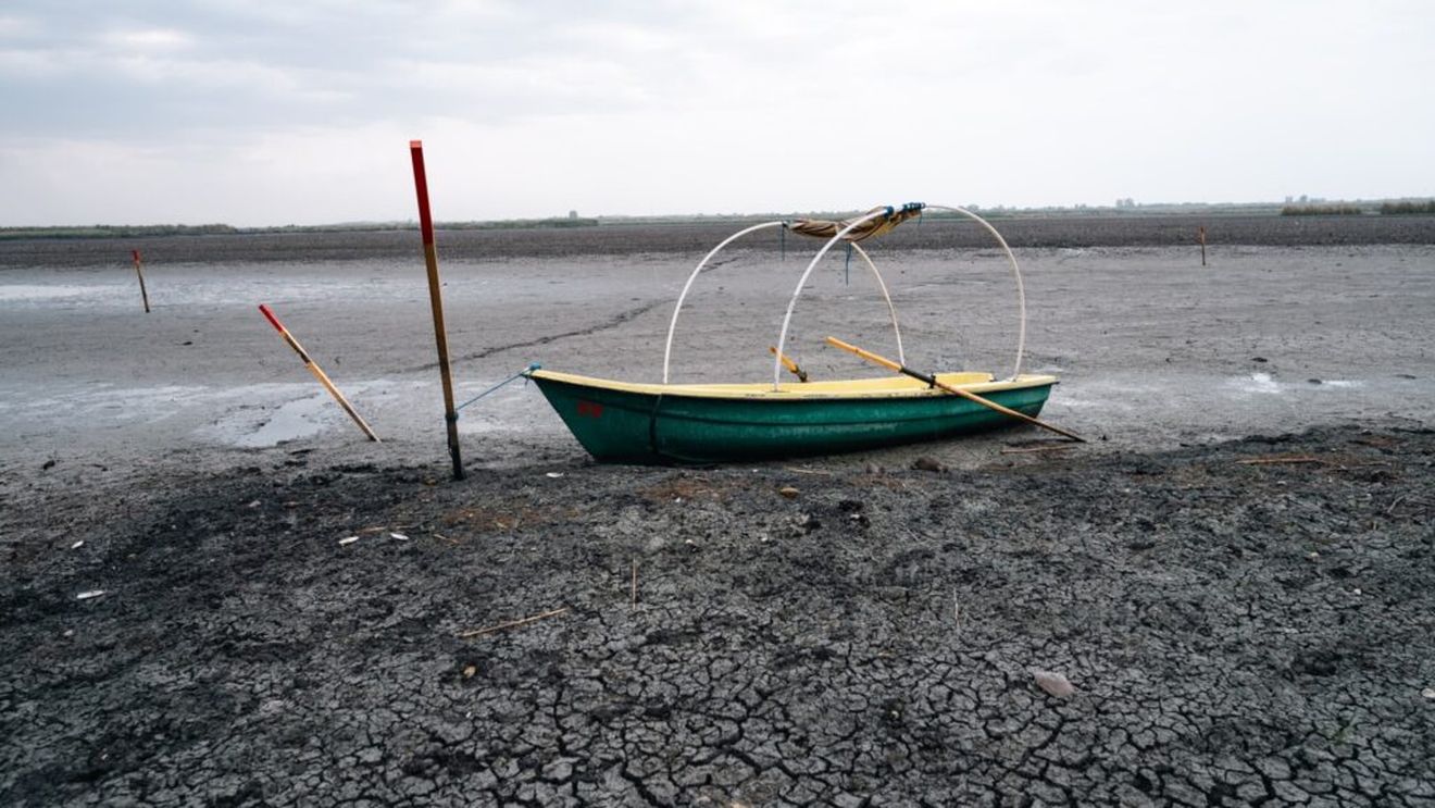 Delta Neajlovului, în pragul dispariției: Peste jumătate din bălțile de la Comana au secat / „Aici se prindea știucă. Acum nu se mai prinde. Nu mai există știucă! Nu mai este deloc”