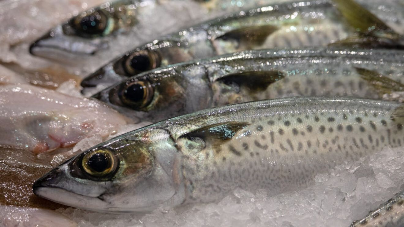 Nutriționiștii recomandă consumul de pește de 2-3 ori pe săptămână. Fără acvacultură nu ar fi posibil