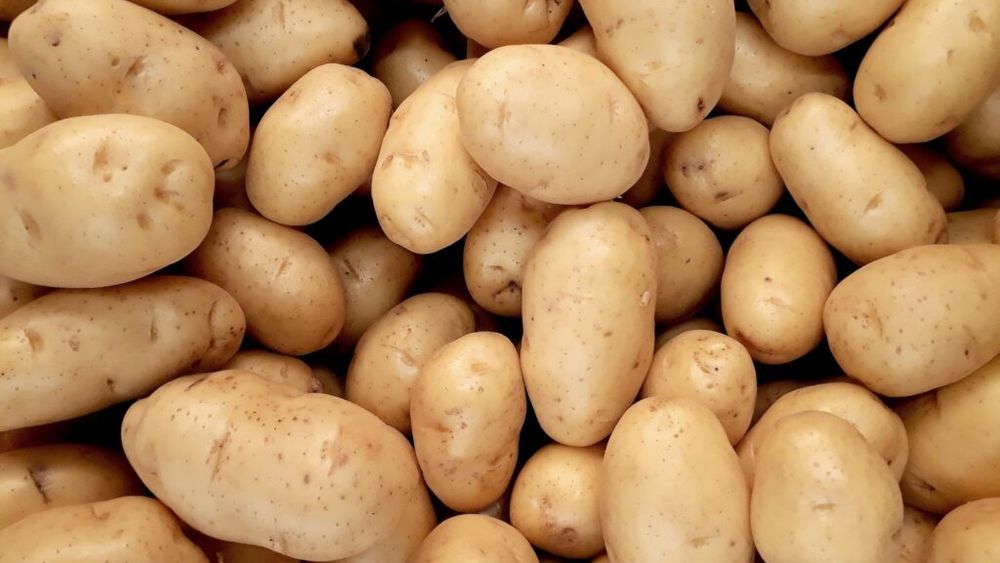 Cartoful românesc e „la pământ”: România a înregistrat cea mai mică producție de cartofi din ultimii opt ani, conform INS / În contrast cu declinul producției, consumul intern de cartofi continuă să crească