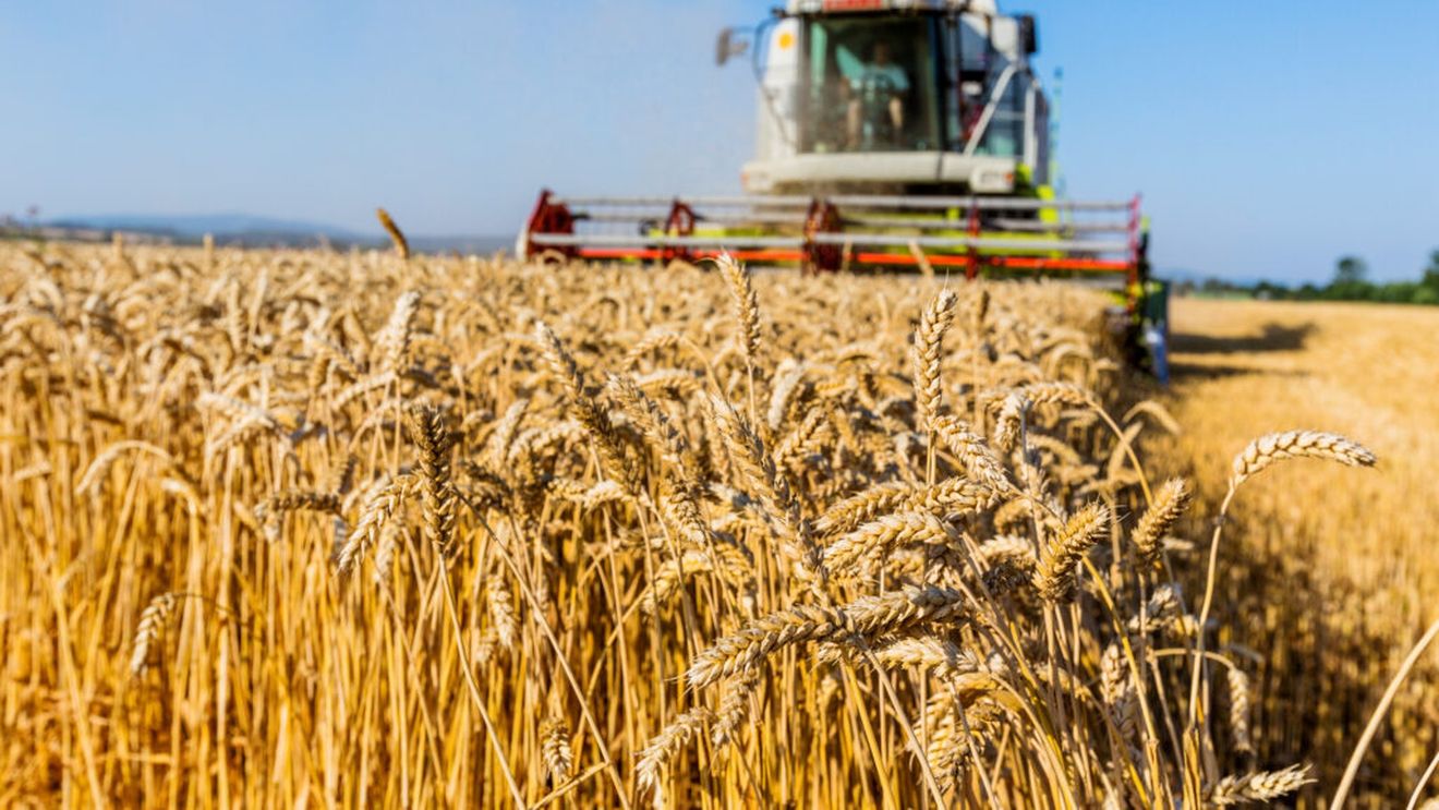 Prețurile produselor agricole au avut cea mai mare creștere trimestrială din 2022. De ce ar putea alimenta din nou inflația