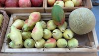 Războiul din Orientul Mijlociu lovește exporturile de mango ale Pakistanului. Fermierii se tem de pierderi masive