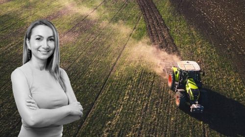 ANALIZĂ | De ce sunt terenurile agricole din România mai scumpe decât în Franța. Nu calitatea solului explică diferența, ci maturitatea pieței