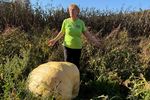 FOTO-VIDEO | Au adus câteva semințe din Spania și au ajuns să crească dovleci de 200 de kilograme / Soții Mureșan cultivă dovleci care nu pot fi ridicați de patru oameni și vor să vândă semințele online