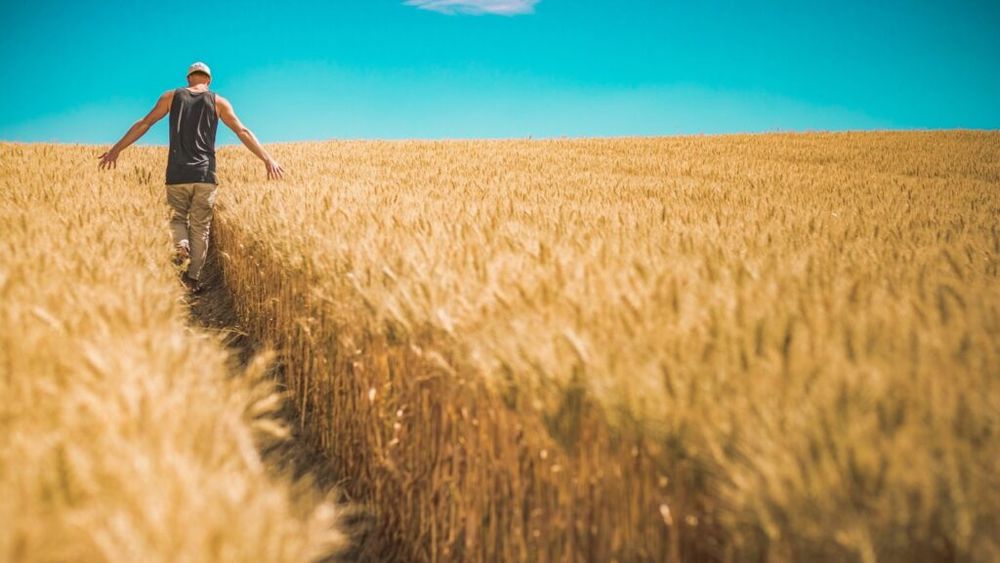 Irish Cancer Society, către agricultori: Fiți atenți la soare. Fermierii sunt expuși unui „risc foarte ridicat” de cancer de piele