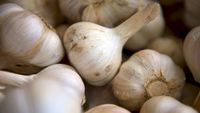 Usturoiul românesc „Benone”, exportat în Israel. Un fermier a primit o comandă de 24 de tone, în timp ce piața românească este dominată de importuri