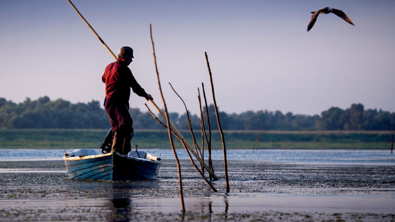 Delta Dunării / 6.500 de hectare de amenajări piscicole au fost transformate în terenuri agricole din 2018 până în prezent