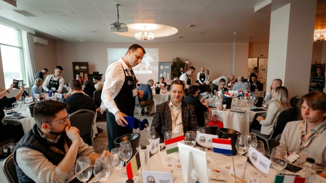 România stabilește un record de medalii la Concours Mondial de Bruxelles, cea mai mare competiție de vinuri roze din lume