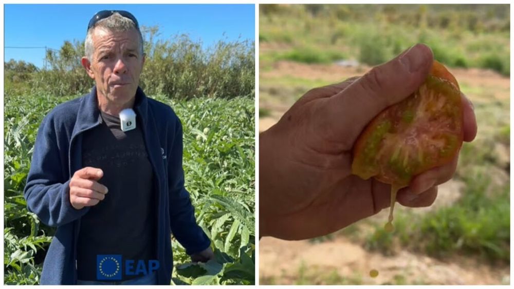 FOTO | De pe câmp direct în farfurie/ Cum reușesc să cumpăr legume și fructe de sezon direct de la producători/ Platforma digitală care unește fermierii cu clientul la un click distanță