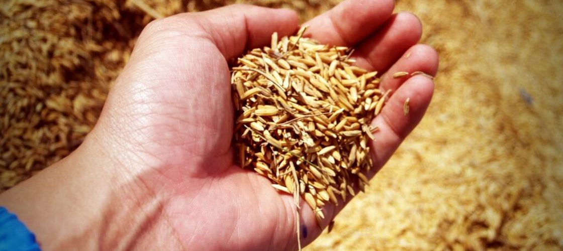 UE refuză să mărească cotele pentru exporturile agricole ale Ucrainei / Kievul cere acces suplimentar pentru bioetanol / Bruxelles: Acordul actual este „echitabil și echilibrat”