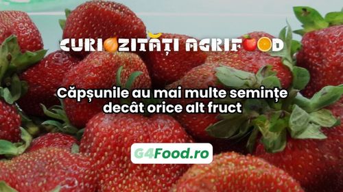 Curiozități agri-food 29 ianuarie: Căpșunile au mai multe semințe decât orice alt fruct