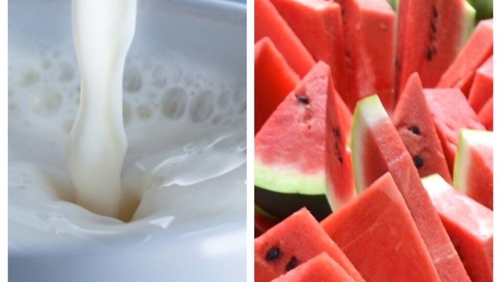 Inedit: A apărut laptele din semințe de pepene roșu! Are doar 50 de calorii per porție / Semințele de pepene roșu conțin mai multe proteine decât migdalele și au o amprentă de carbon mai mică decât soia și ovăzul