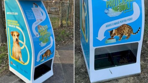 Au apărut automate ecologice pentru hrănirea pisicilor fără stăpân. Cum funcționează și unde vor fi amplasate