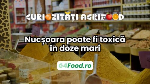 Curiozitate agri-food: Nucșoara, condimentul pe care îl folosim adesea în bucătărie, poate fi toxică în doze mari