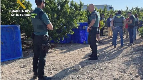 Peste 50 de români, folosiți ca sclavi pe o plantație din Spania. Victimele, recrutate pe rețele de socializare din România / Patru indivizi suspectați de trafic de persoane, arestați