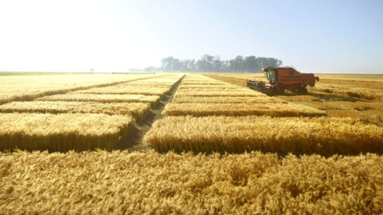 Forumul Agricultorilor și Procesatorilor Profesioniști din România, despre Mercosur: „Nu este vorba despre o alegere simplă între „da” sau „nu”, ci despre o decizie strategică ce va defini raportul dintre ambițiile geopolitice ale Uniunii și capacitatea sa de a-și proteja sectoarele strategice interne, în special agricultura”