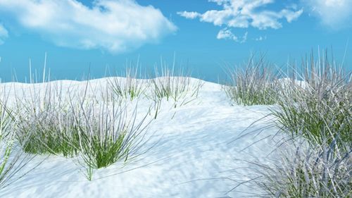 ANM: Speciile de câmp şi pomi-viticole se vor afla în stadiul de repaus vegetativ pe întreg teritoriul agricol /  Regimul termic al aerului mai scăzut va favoriza producerea înghețului