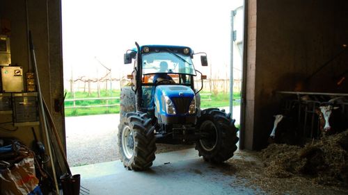 Hotărârea de Guvern pentru finanțarea Programului de stimulare a înnoirii Parcului național de tractoare și mașini agricole autopropulsate, publicată în Monitorul Oficial