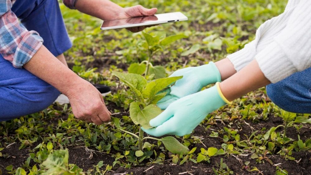 Save the date! G4Food și Economedia organizează conferința „România în noul context global. Impactul economic, agricol și comercial” / Evenimentul are loc pe 20 martie și aduce la aceeași masă decidenți și lideri din agribusiness și industrie