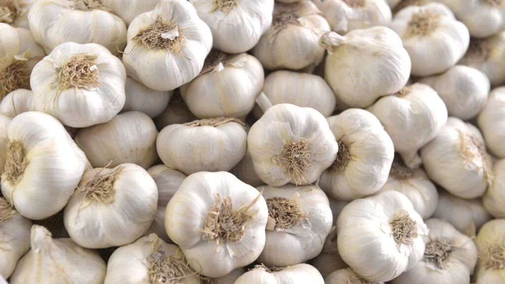 Ministerul Agriculturii continuă şi în 2025 programul de susţinere a producţiei de usturoi / Cultivatorii vor primi 3.000 euro/ha