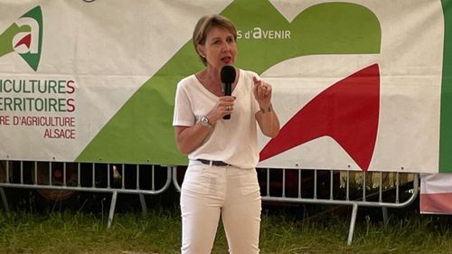 Producătorii de cereale din UE se confruntă cu impactul reducerii limitelor de toxine, avertizează un deputat european