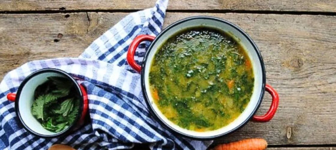 Rețetă tradițională de ciorbă de urzici cu zdrențe de ou și smântână sau iaurt/ E sezonul urzicilor și e păcat să nu profităm de ele/ Ai grijă cum le pregătești să nu pierzi vitaminele