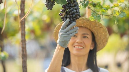 De la călcatul strugurilor la vânătoarea de trufe, zece excursii memorabile la culesul recoltei în Europa/Vânătoarea de trufe din Transilvania este pe listă