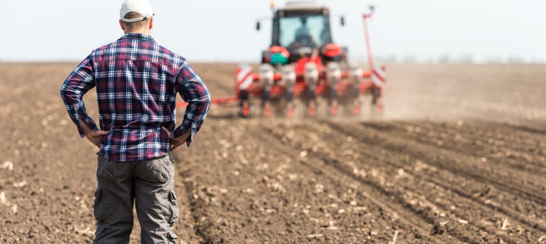 6,5 miliarde de euro, pentru agricultură, în pericol!/ AAC avertizează: subvențiile europene ar putea scădea la 110 euro pe hectar!