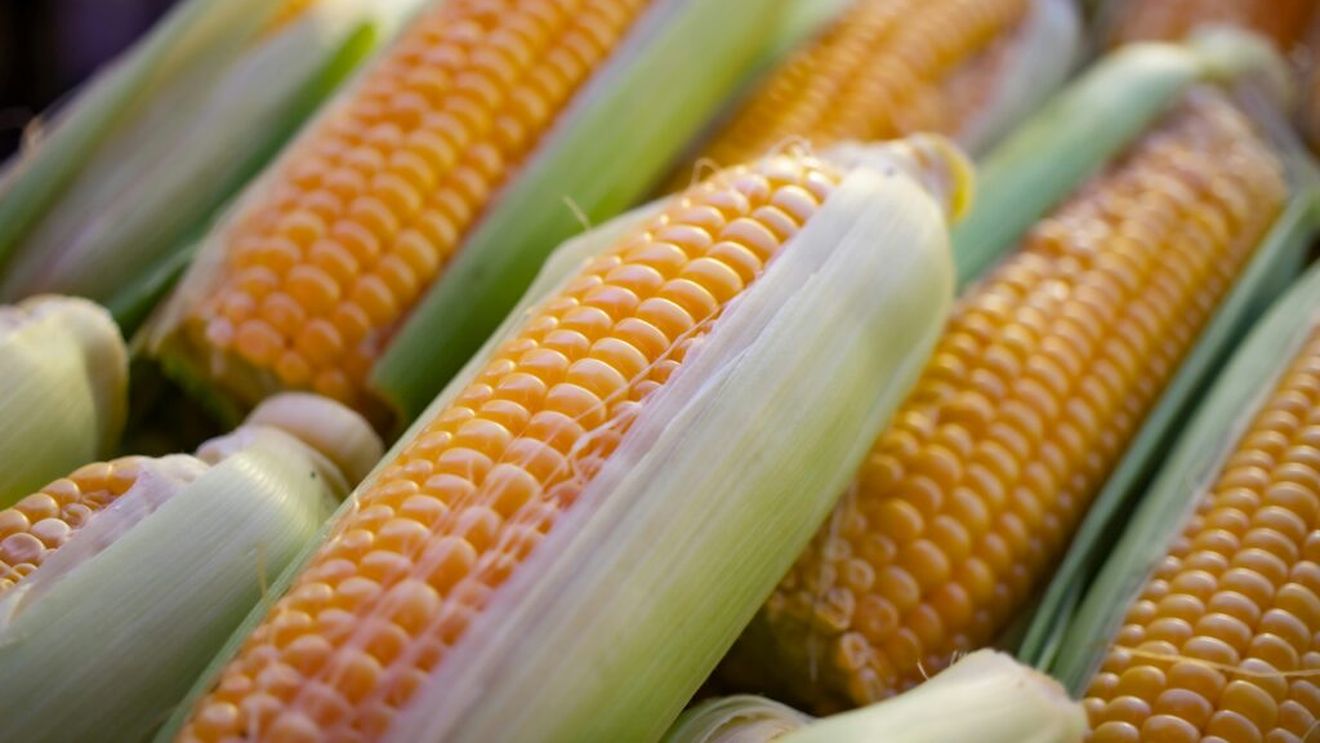Ce se întâmplă în organism când mănânci alimente modificate genetic? Un specialist în nutriție explică ce sunt OMG-urile, ce este mit și ce ar trebui să ne preocupe