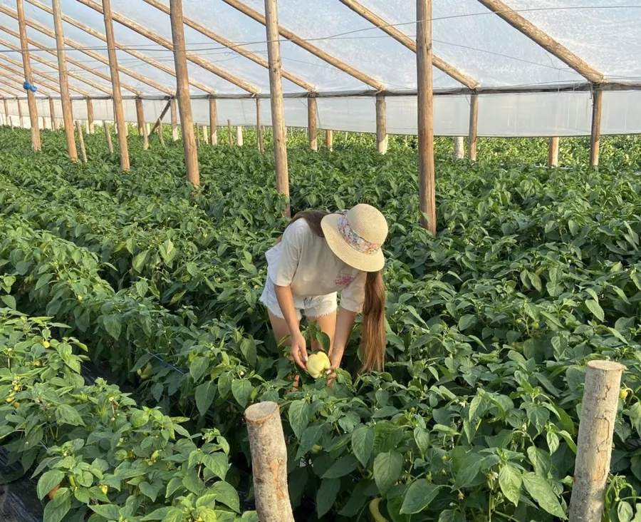 Raluca-Ioana Juncanariu