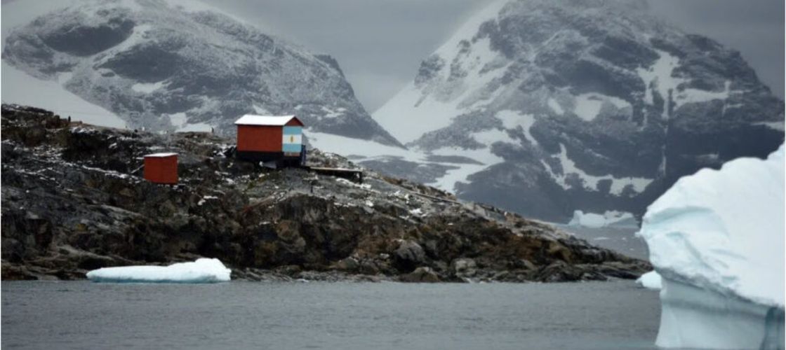Genomul unei plante din Antarctica, cartografiat de cercetători pentru a dezvolta culturi agricole rezistente la climă