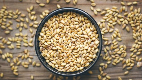 Noi soiuri de orz pentru bere, validate de experții germani după testări ample de malțificare și fabricare / Rezultatele preliminare indică un potențial interesant pentru industria berii